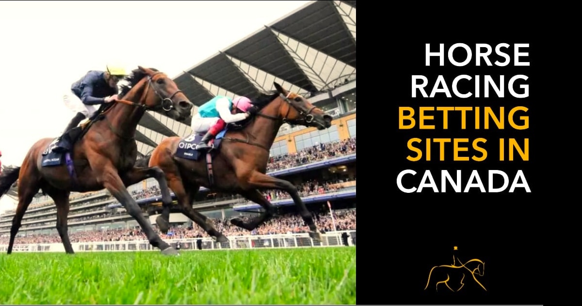 Horse racing betting sites banner